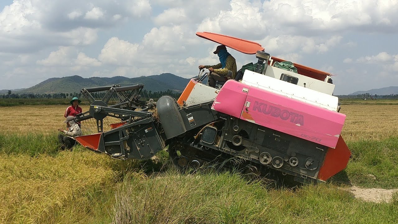 Rice Harvester Kubota DC70 Harvests Rice in Field/World Amazing Modern Agriculture Heavy