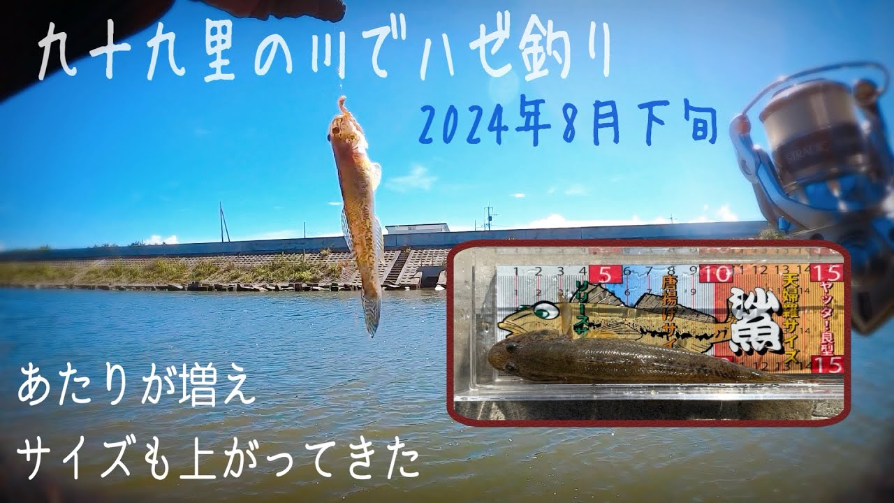 8月下旬のハゼ釣り【千葉県九十九里近辺のとある川】 - YouTube