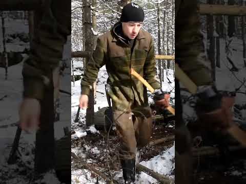 A Chunk of Wood in my Eye.