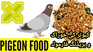 کبوتر کی خوراک و بریڈنگ فارمولہ Pigeon Feed in Summer,  Winter & Breeding Formula in Urdu Hindi