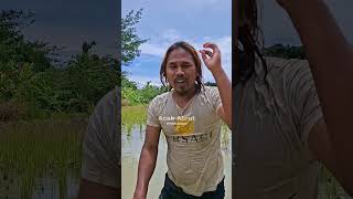 Download Lagu My name is Cirin🙈🤣 MP3