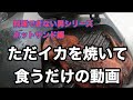 ただイカを焼いて食うだけの動画【ホットサンドメーカー】