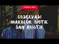 VIdeo Mengobservasi Tentang Makhluk Biotik Dan Abiotik