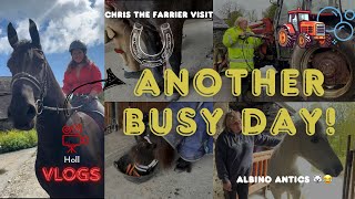 Busy Monday | Where are we painting? | Chris Visits | Hoitze gets a leg trim | Massey gets a wash