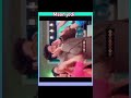 Thoda sa je lo thoda mar lo #bollywood song in maan jodi song 👍👌