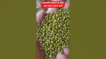 सरकारी नौकरी के लिए यह उपाय जरूर करें।#job #pandit_pradeep_ji_mishra #viral