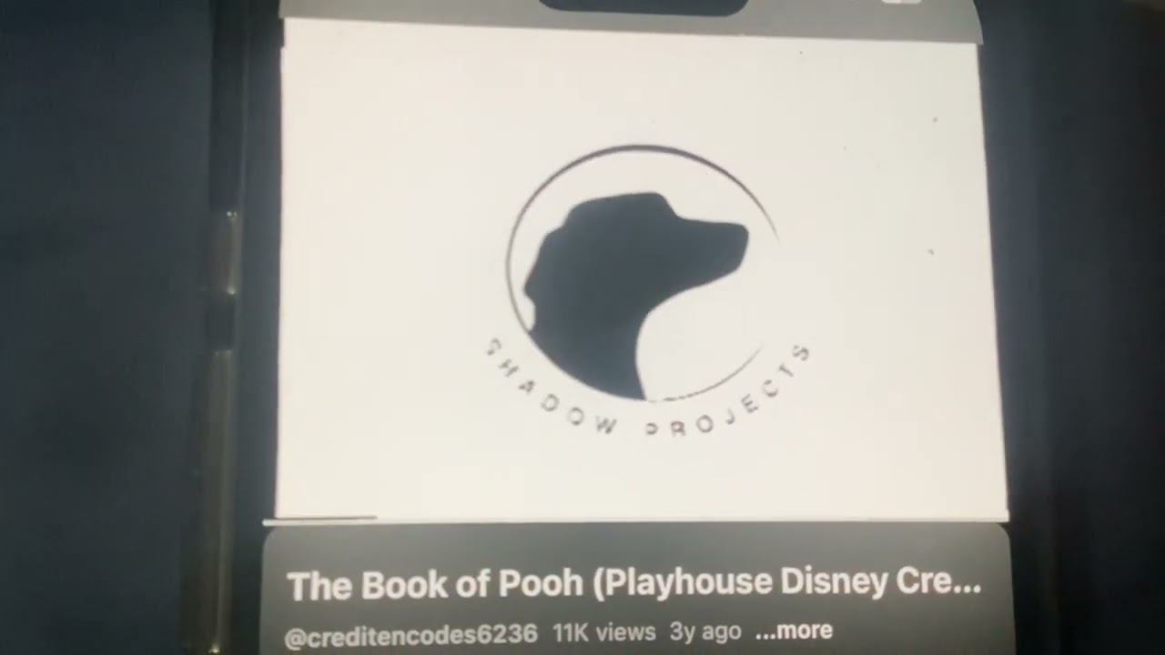 Shadow Projects/Playhouse Disney Channel (2001/2002)