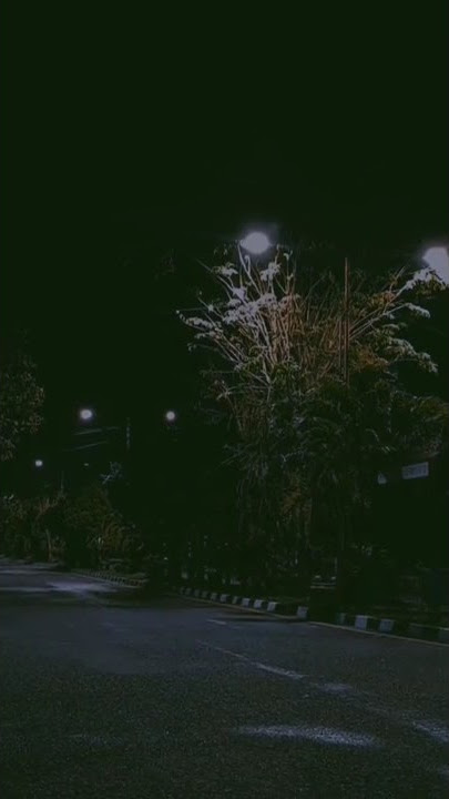 Video polosan jalan kota saat malam || Story Wa 30 detik #38