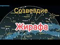 Созвездие Жирафа.