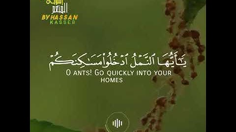 حالات واتساب قرآن كريم    حتى إذا أتوا على وادى النمل قالت نملة   الشيخ عبد المنعم الطوخي