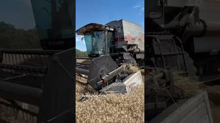 GLEANER R62 Combine V8 Engine #bigtractorpower #agco