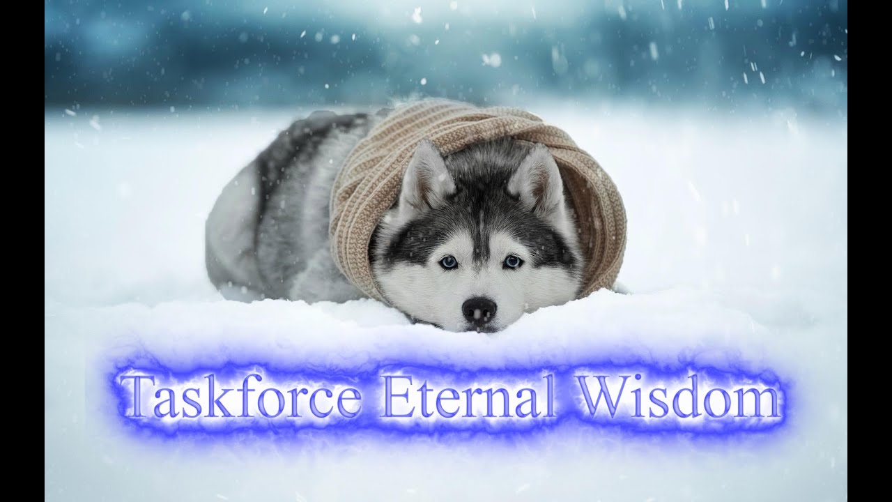 Eternal Wisdom   28 September// Wahnsinn am Sonntags, Verhöhnungs Medien leisten wieder Top Arbeit