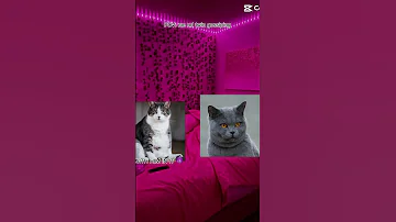 Idk What To Name This Video 