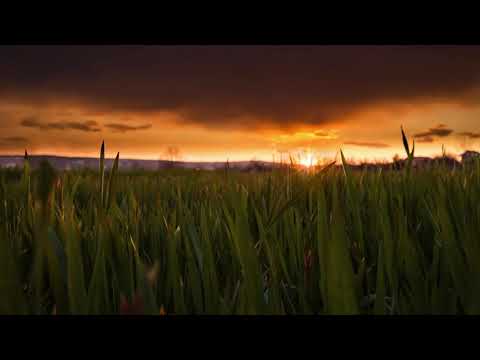 New World -