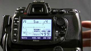 Yellow Wood Guiding - Photography Exposure Basics
