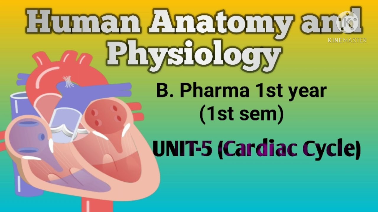 Unit-5 ( Cardiac Cycle)