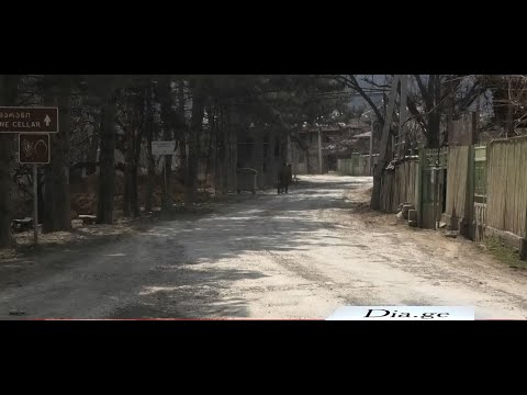 გორის მუნიციპალიტეტის სოფელ ატენში პრობლემები დაგროვდა 28.03.2022