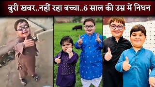 Piche Dekho Meme Boy Ahmed Shah Little Brother Umer Shah Pes Away At The Age Of 6