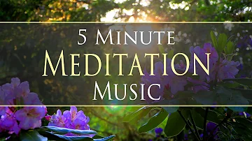 5 Minute Calming Meditation Music 🧘🏻‍♀️ with Beautiful Summer Nature Footage 🌿🍃🌻