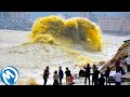 Mira Lo Que Le Pasó A Esta Gente En La Playa