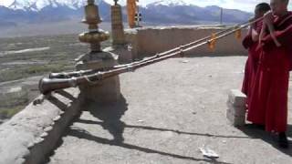 Download Lagu Young monks playing Tibetan horns at Thikse gompa (monastery). MP3