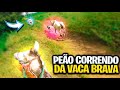 kk MUITO ENGRAÇADO O Moreale CORRENDO  DA VACA BRAVA