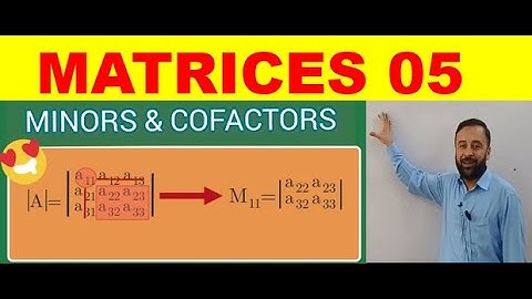 MATRICES 05 || MINOR AND COFACTOR || in URDU/HINDI