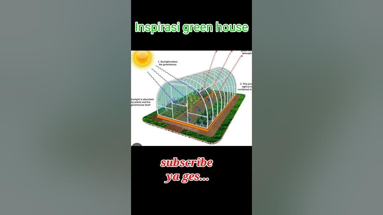inspirasi green house.. #sorts #bertani #petanicantik #petanijamannow #greenhouse