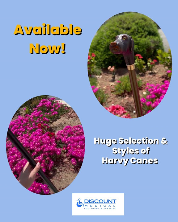 Go out in Style with a brand new Harvy Cane YouTube