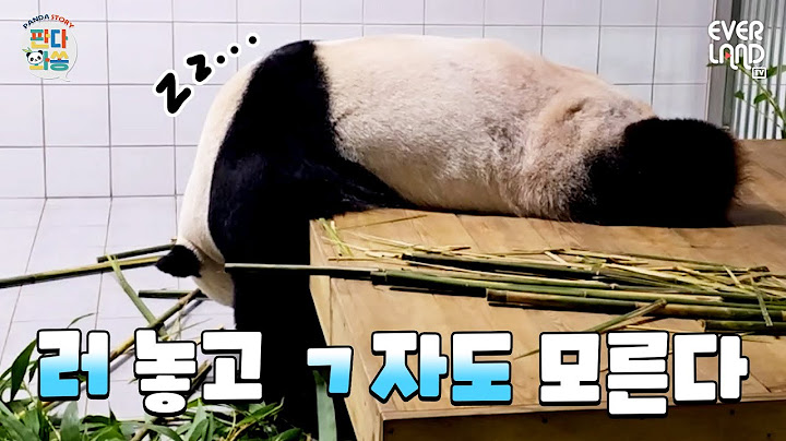 Loving Korean even while sleeping, Lebao and the Bao family full of love. 💚