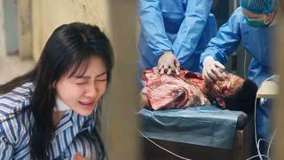 The Handsome Guy Was On The Verge Of Deathcinderella Broke Down In Tears Terrified Of Losing Him