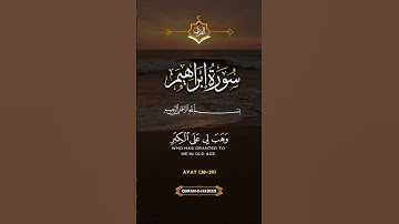 #القرآن_الكريم #تلاوة_خاشعة #اكسبلور #لايك #دويتو #حالات_واتس #راحة_نفسية #تيك_توك