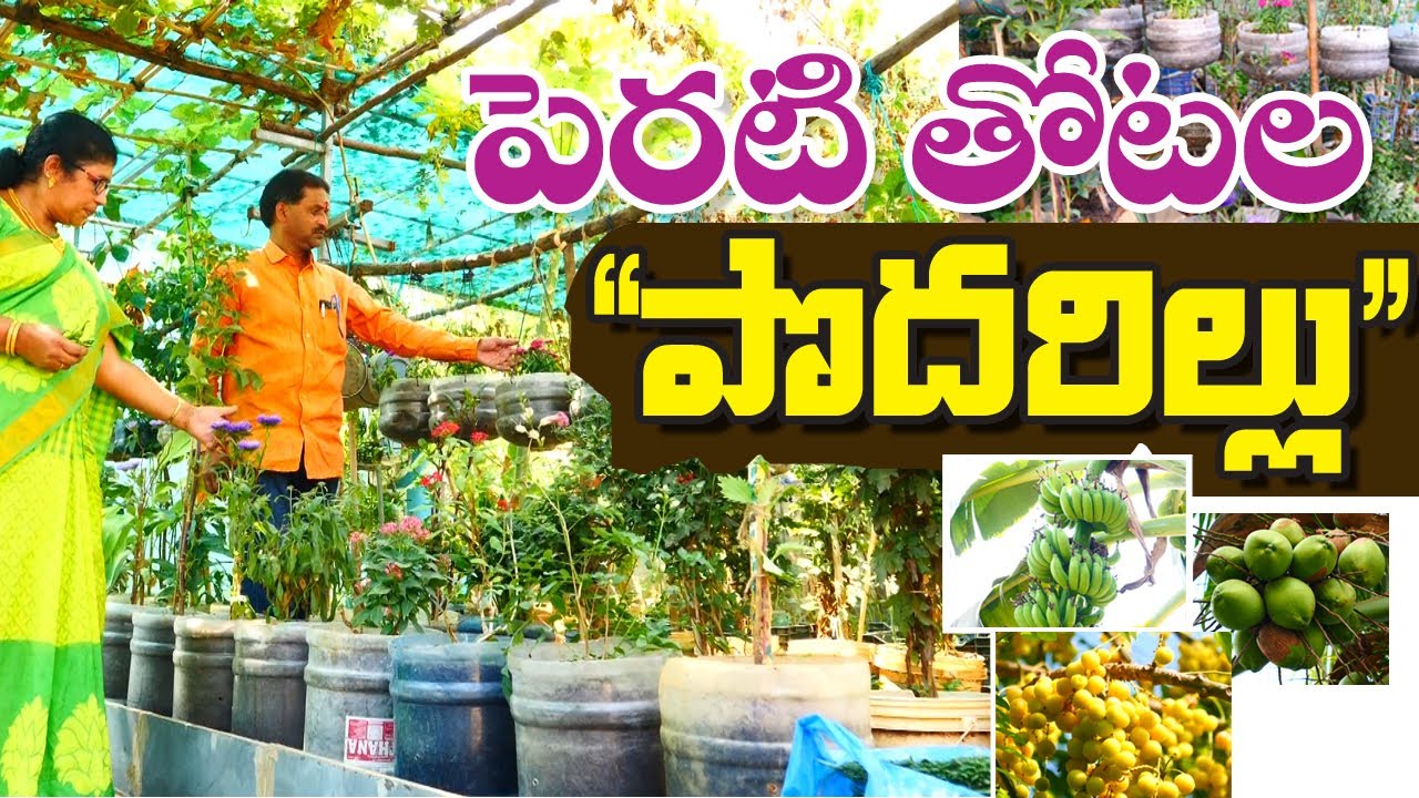 Amazing Kitchen Garden || ఇంటి ముందే వ్యవసాయం || Seetamahalakshmi