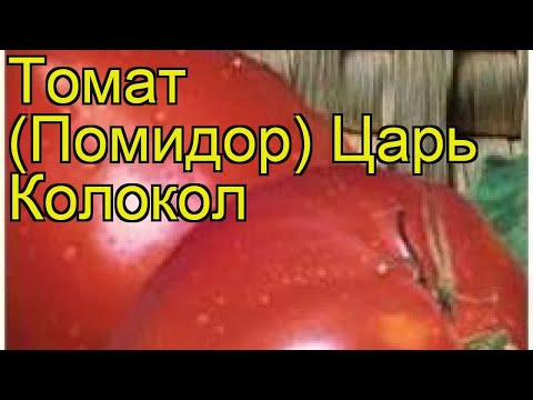 Сорт Томатов Царь Колокол Отзывы Фото