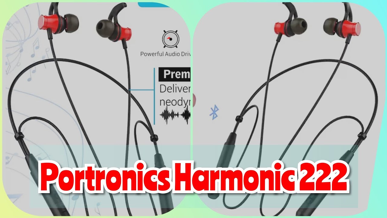portronics harmonics 216 flipkart