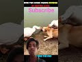 #funny #cute #pets #puppy
