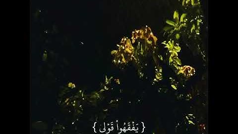 أرح قلبك وسمعك بي القرآن الكريم 😌😌