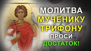 Молитва о работе и помощи в делах Святому Мученику Трифону. Сильная молитва на деньги