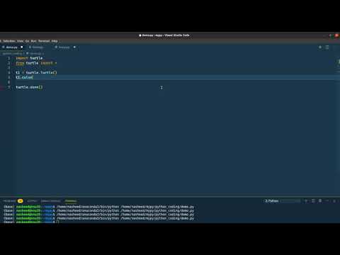 Python: create a turtle and move it
