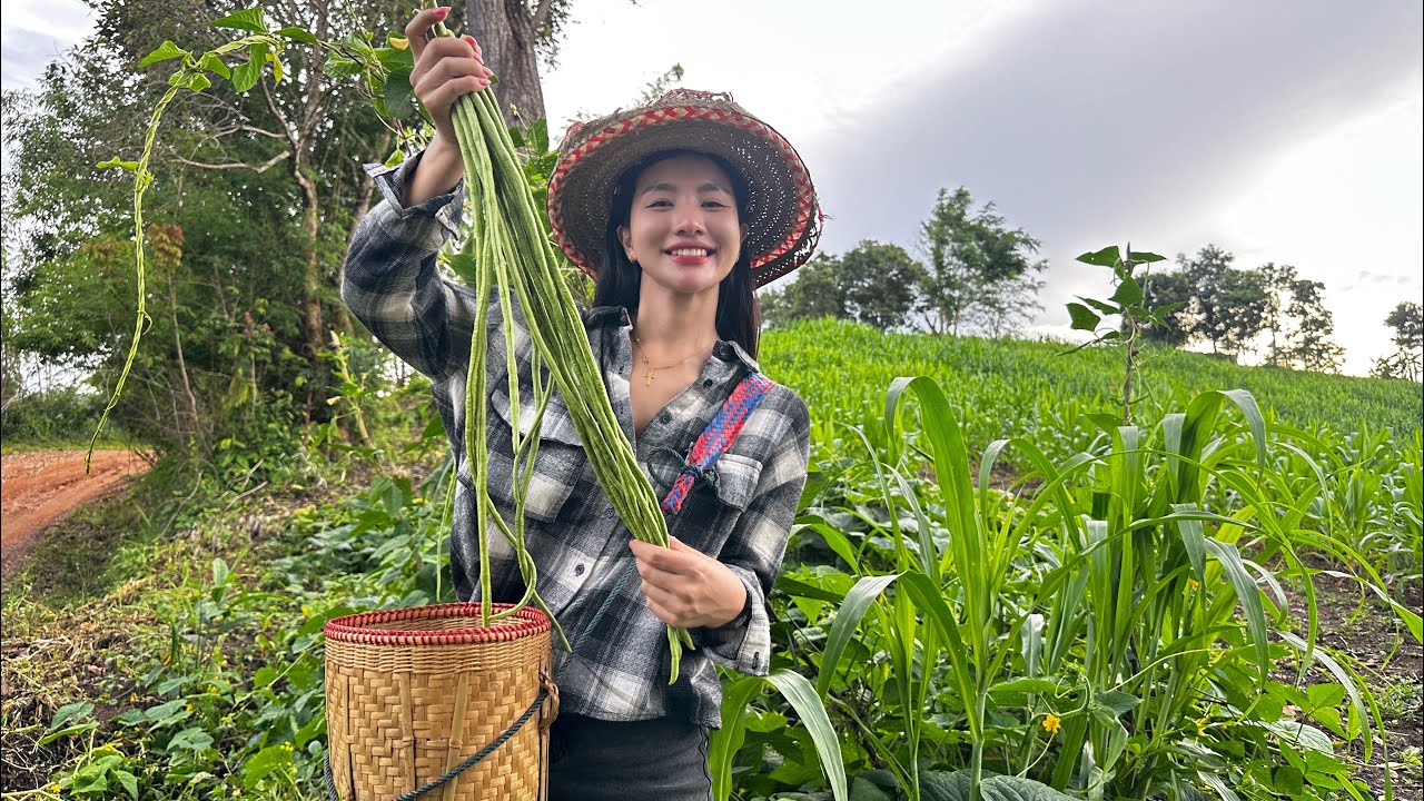 “ปลูกฝันท่ามกลางธรรมชาติ เก็บเกี่ยวความสุข“🌾#ธรรมชาติ #วิถีบนดอย 