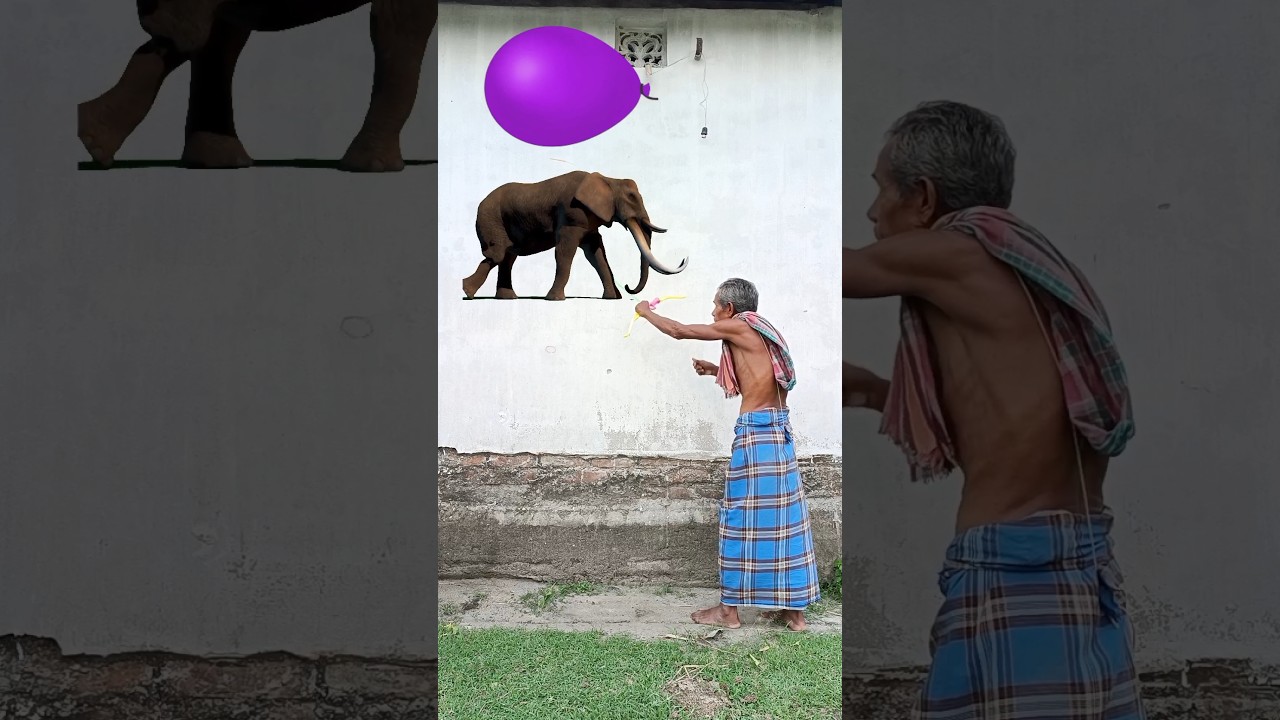 June 16, 2023 Animals Names 🦣🐎 to falling balloon vs rainbow - Funny vfx magic video