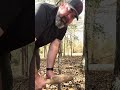 Knife to cut down a tree
