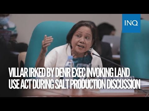 Villar irked by DENR exec invoking Land Use Act during salt production discussion