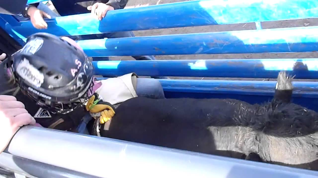 girl bull riding