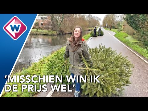 Kinderen maken kans op een Xbox door kerstbomen in te zamelen
