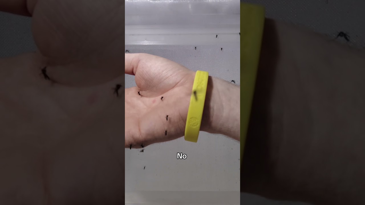 Wristbands Sound Great… Until the Mosquitoes Ignore Them 🦟😅