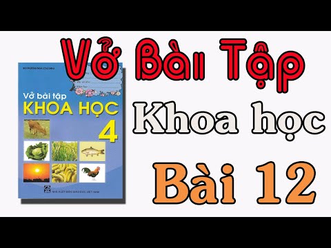 Video VỞ BÀI TẬP KHOA HỌC LỚP 4 BÀI 12 PHÒNG MỘT SỐ BỆNH DO... - YouTube