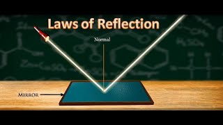 Celebrity Laws of Reflection | Science Project Net Worth