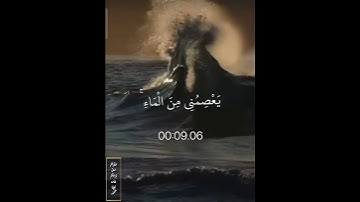{ قَالَ سَآوِي إِلَىٰ جَبَلٍ يَعْصِمُنِي مِنَ الْمَاءِ ۚ }( سورة هود ) الشيخ حسن صالح (صلي على محمد)