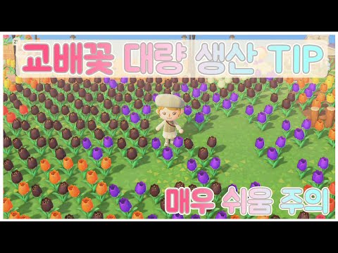 공갈빵 ACNH 최근 영상 - 유하 공갈빵 Acnh 최근 영상 - 유하